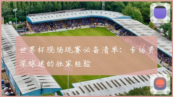 世界杯现场观赛必备清单：专访资深球迷的独家经验